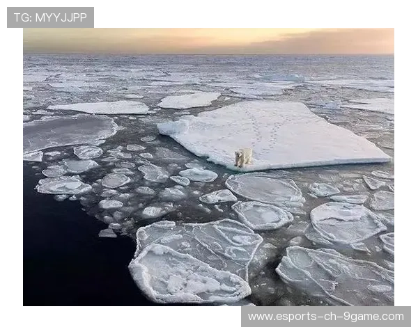 “冰雪征服者！——北极赛段背后的极限勇士”，arctice北极冰