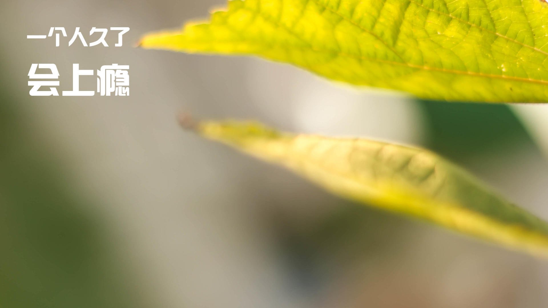 中超球队年度战术热点区域使用次数，中超热门球队